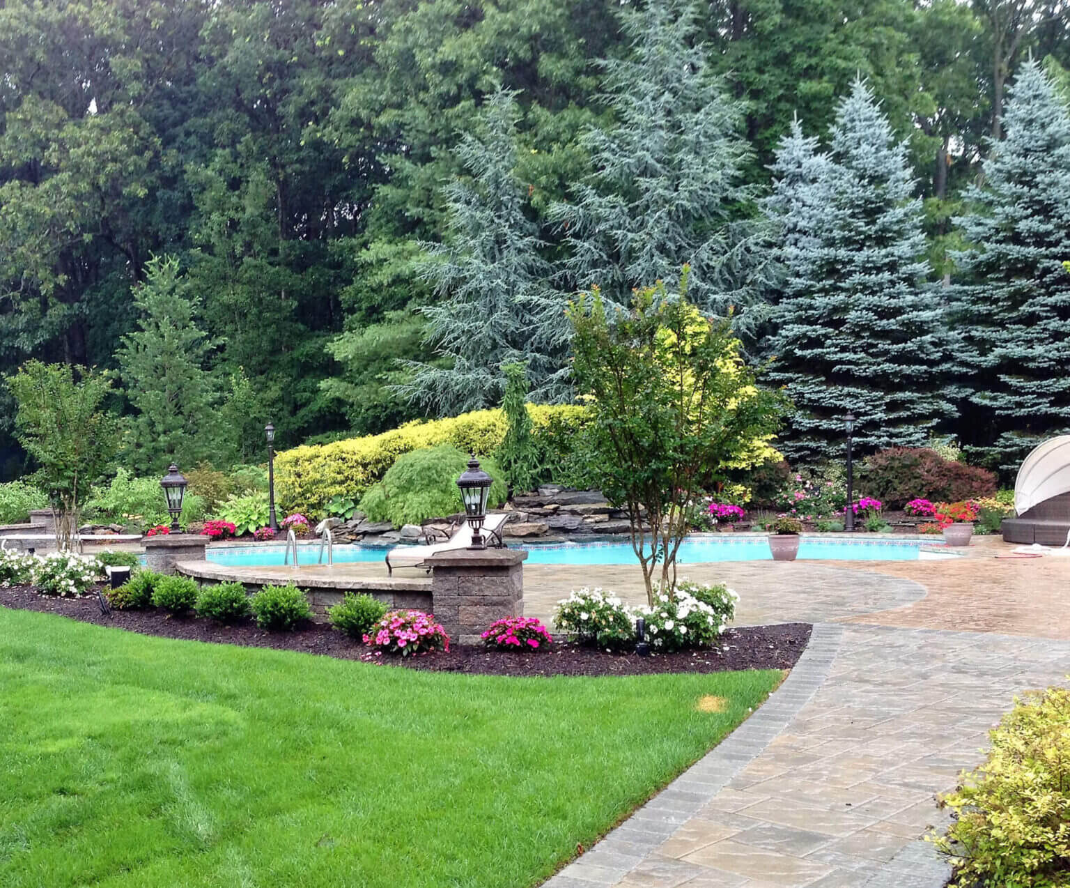 Autumn landscape tree care on the North Fork