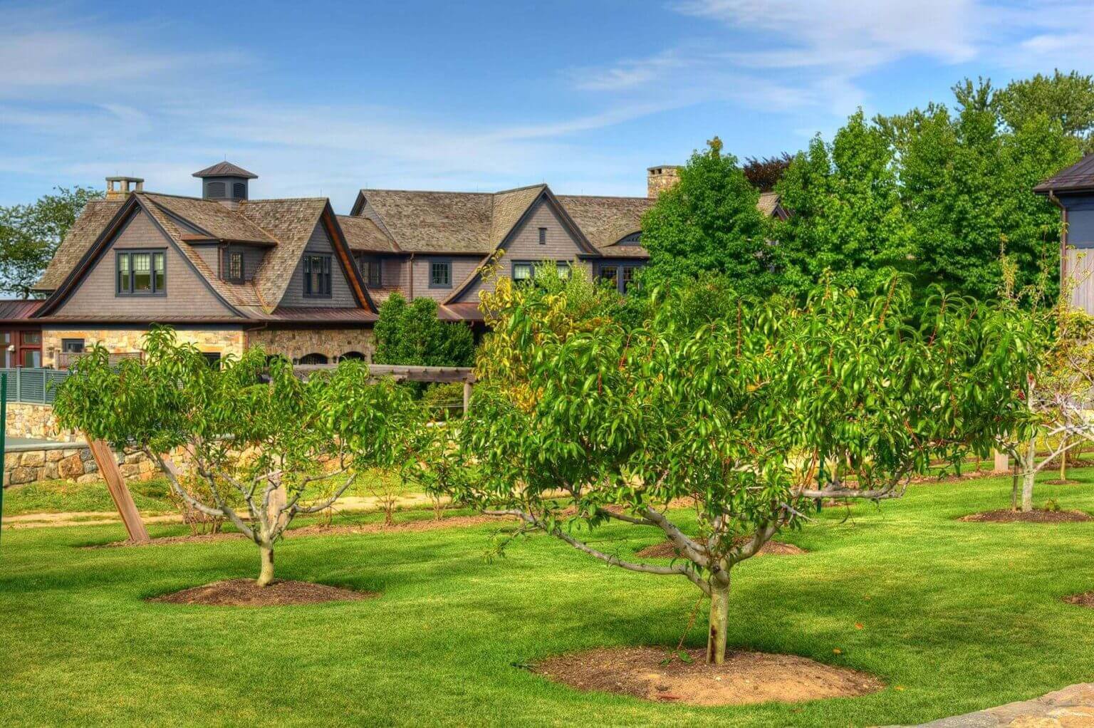 Autumn landscape tree care in North Shore Suffolk