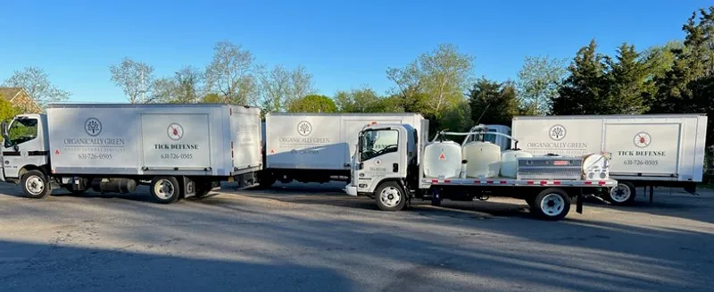 Organically Green team members working together