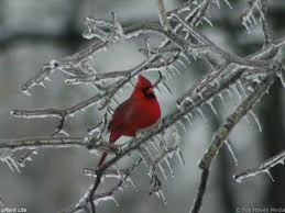 Winter 2012