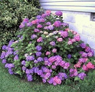 Spring 2010