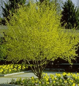 Prepare Your Property for Spring