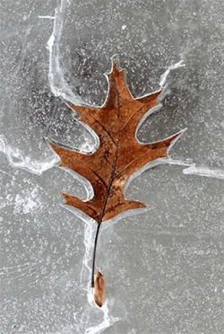 Winter 2010