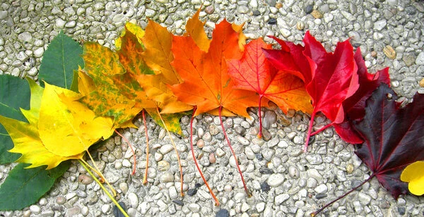 Fall 2014