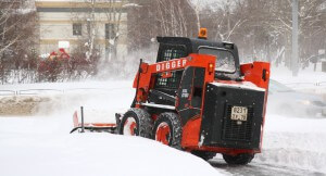 Protecting your Garden in the Snow