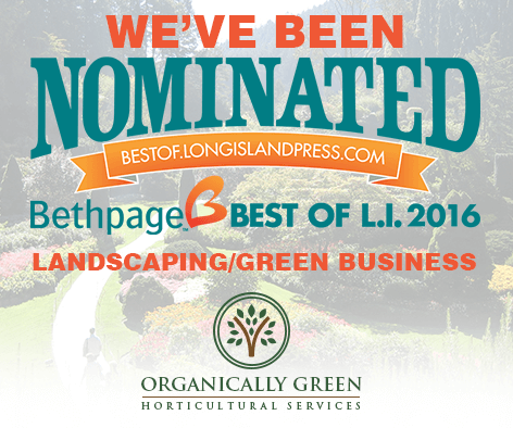 We've Been Nominated!