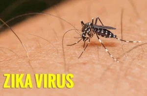 Zika Tips