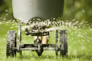 Why It Is Important To Fertilize