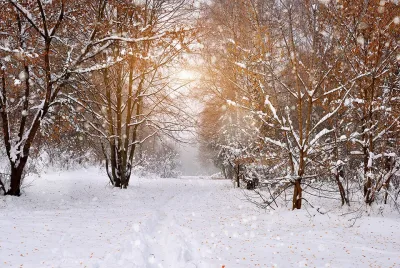 Winter Spray. When Do I Start?