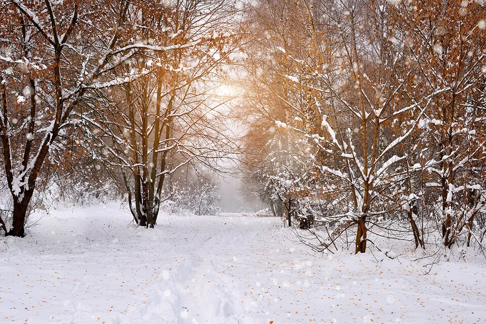 Winter Spray. When Do I Start?