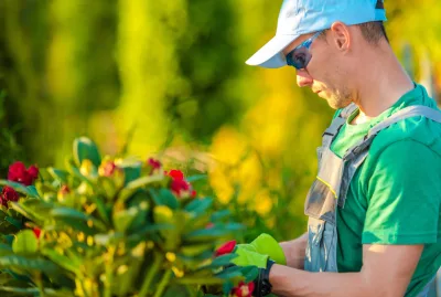 Seasonal plant care for a Long Island landscape