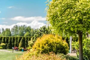 Planning a Spring Garden