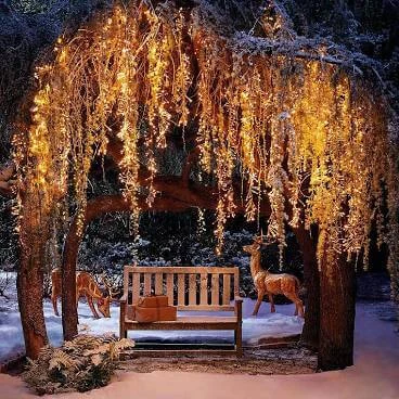 Time to Think About Planning Your Holiday Lighting!