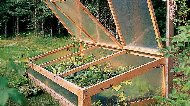 Tips for Cold Frame Gardening