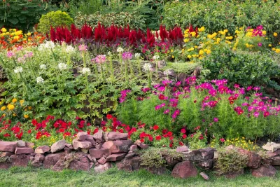 Why is Plant Health Care Important?