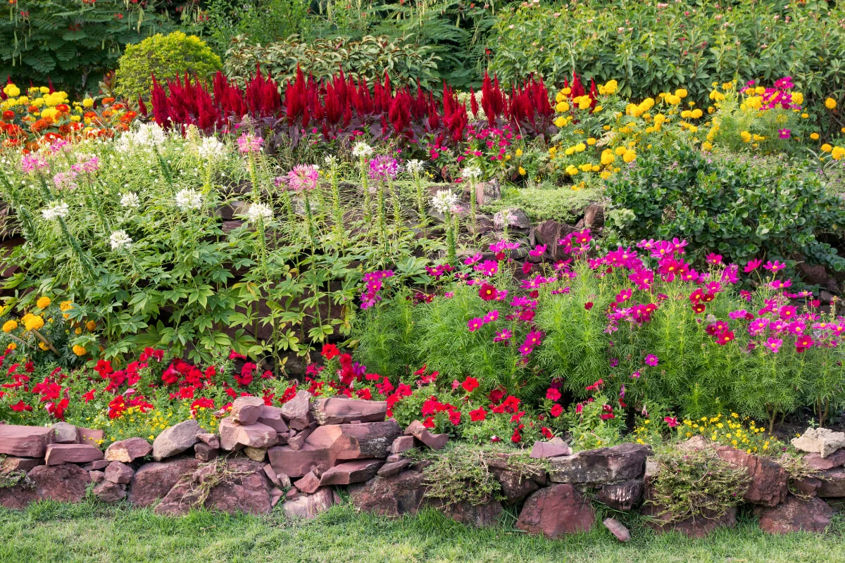 Why is Plant Health Care Important?