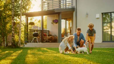 When Should You Start Preventative Tick Spraying For Your Home?