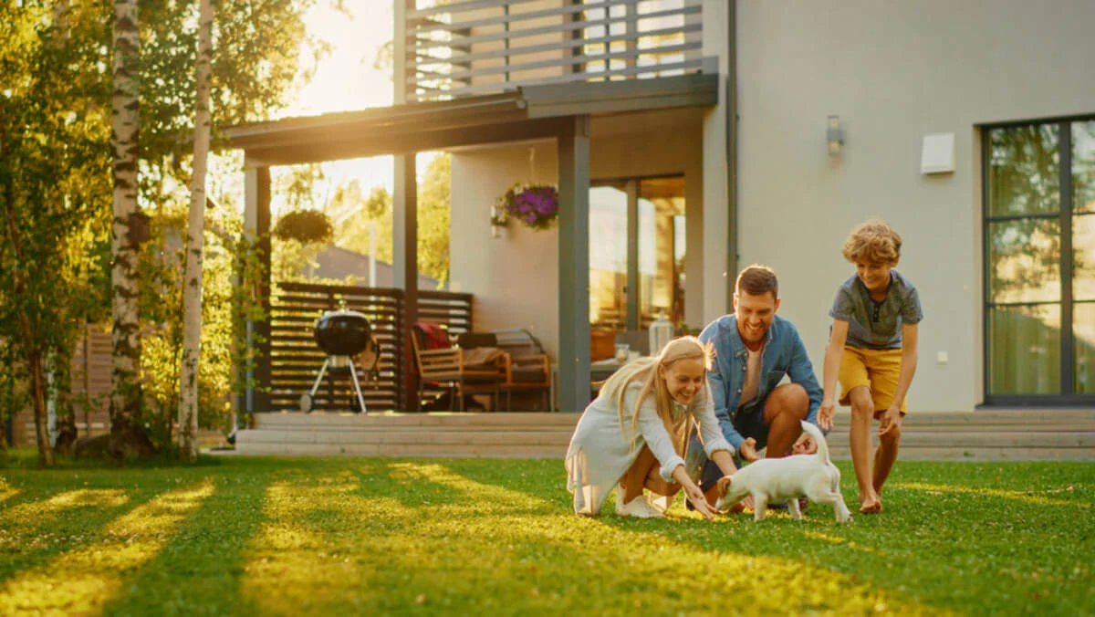 When Should You Start Preventative Tick Spraying For Your Home?