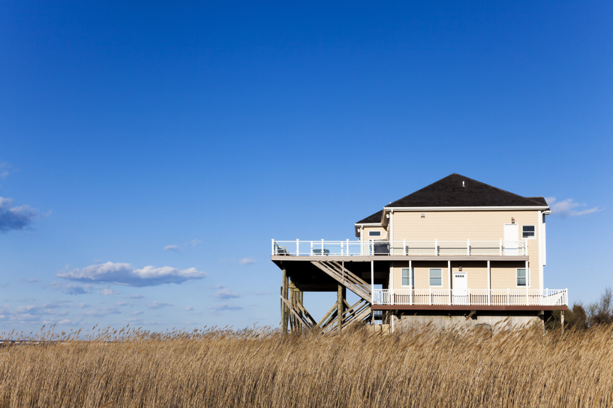 Tips for Choosing the Right Tick Control Company in the Hamptons