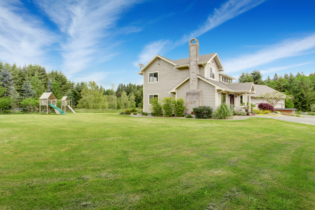 Effective Tick Spraying for Long Island Homeowners