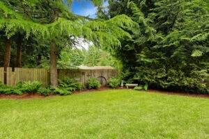 Tips on Hiring a Professional Tree Spraying Service